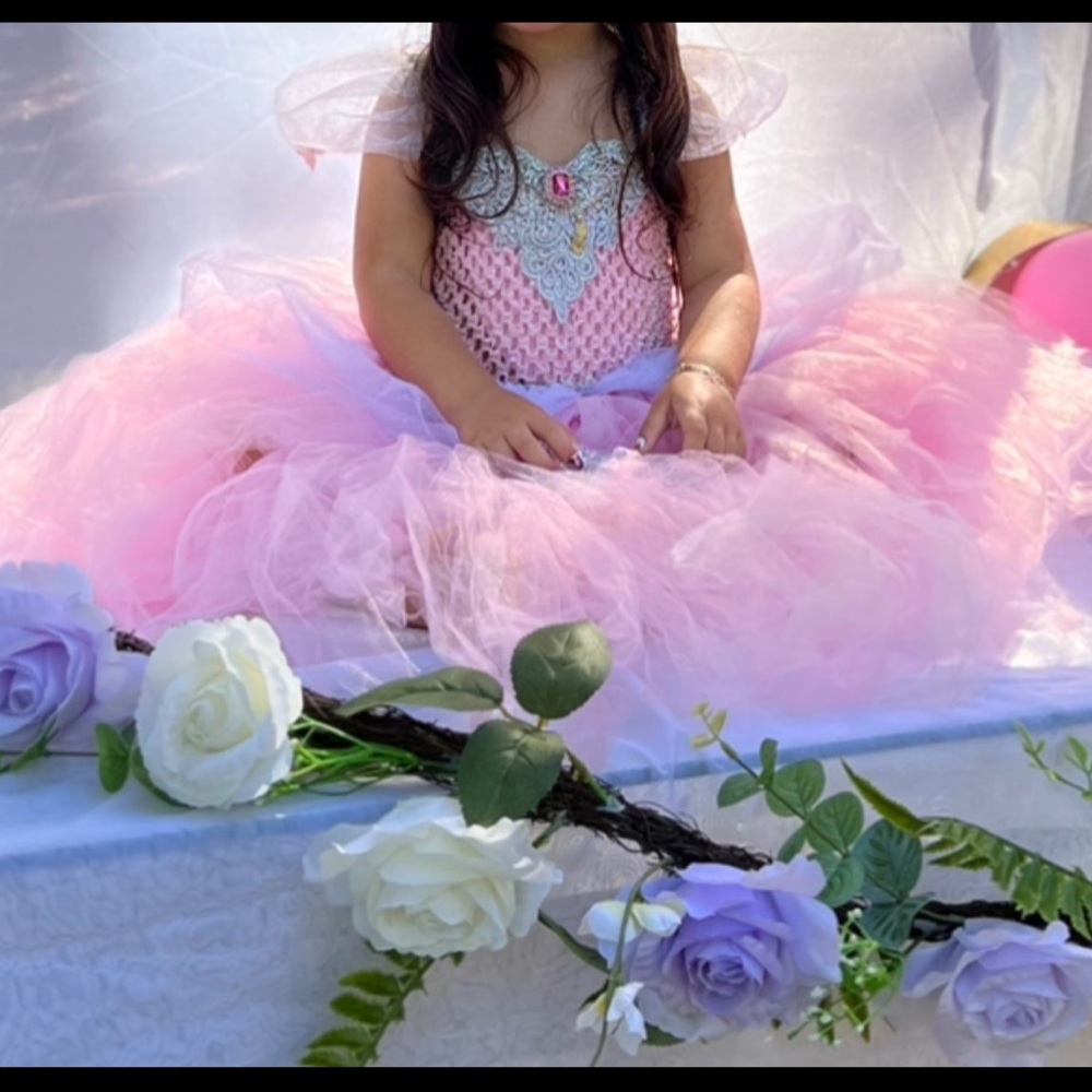 Princess birthday dress